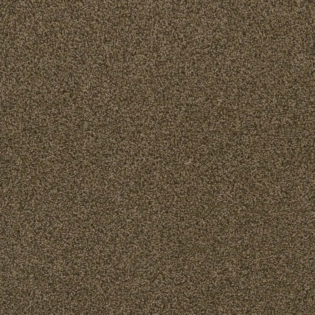 Close-up of brown speckled carpet.