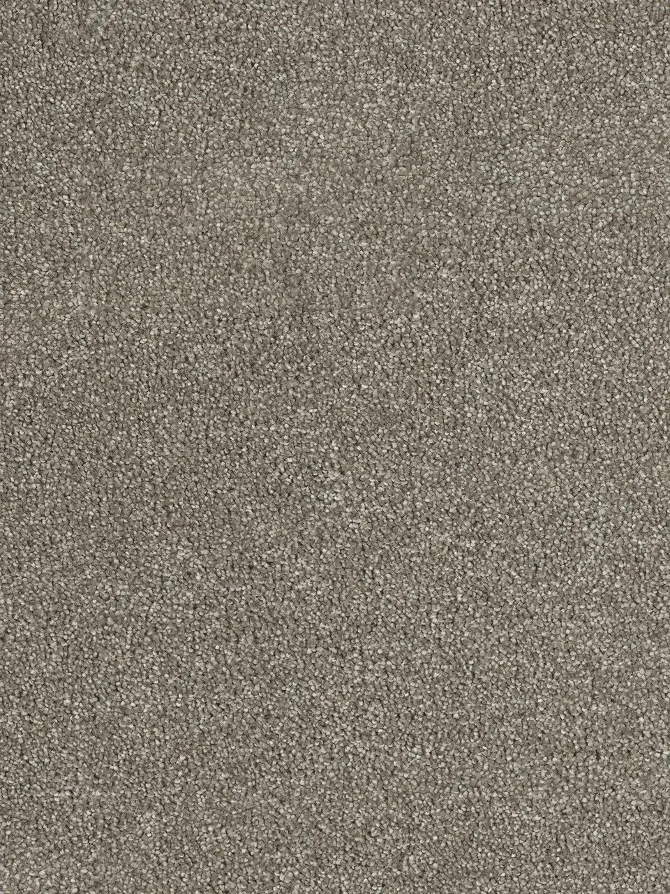 Close-up of neutral-toned speckled carpet; fine texture visible.