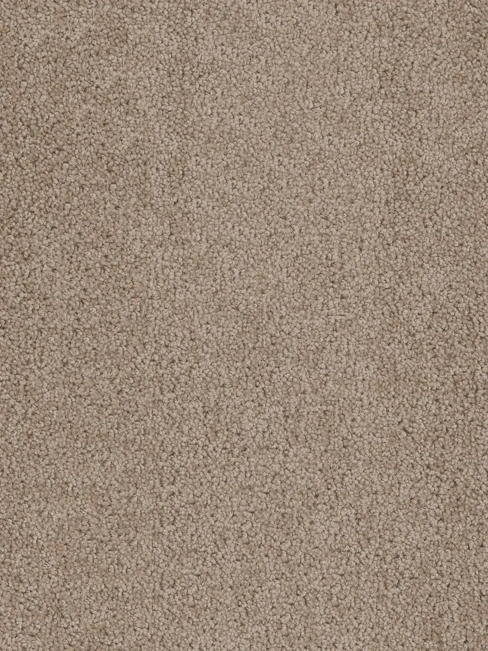Beige textured carpet, close-up shot.