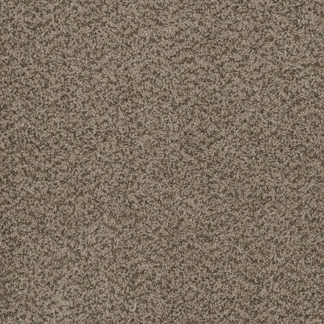 Brown mottled carpet texture.
