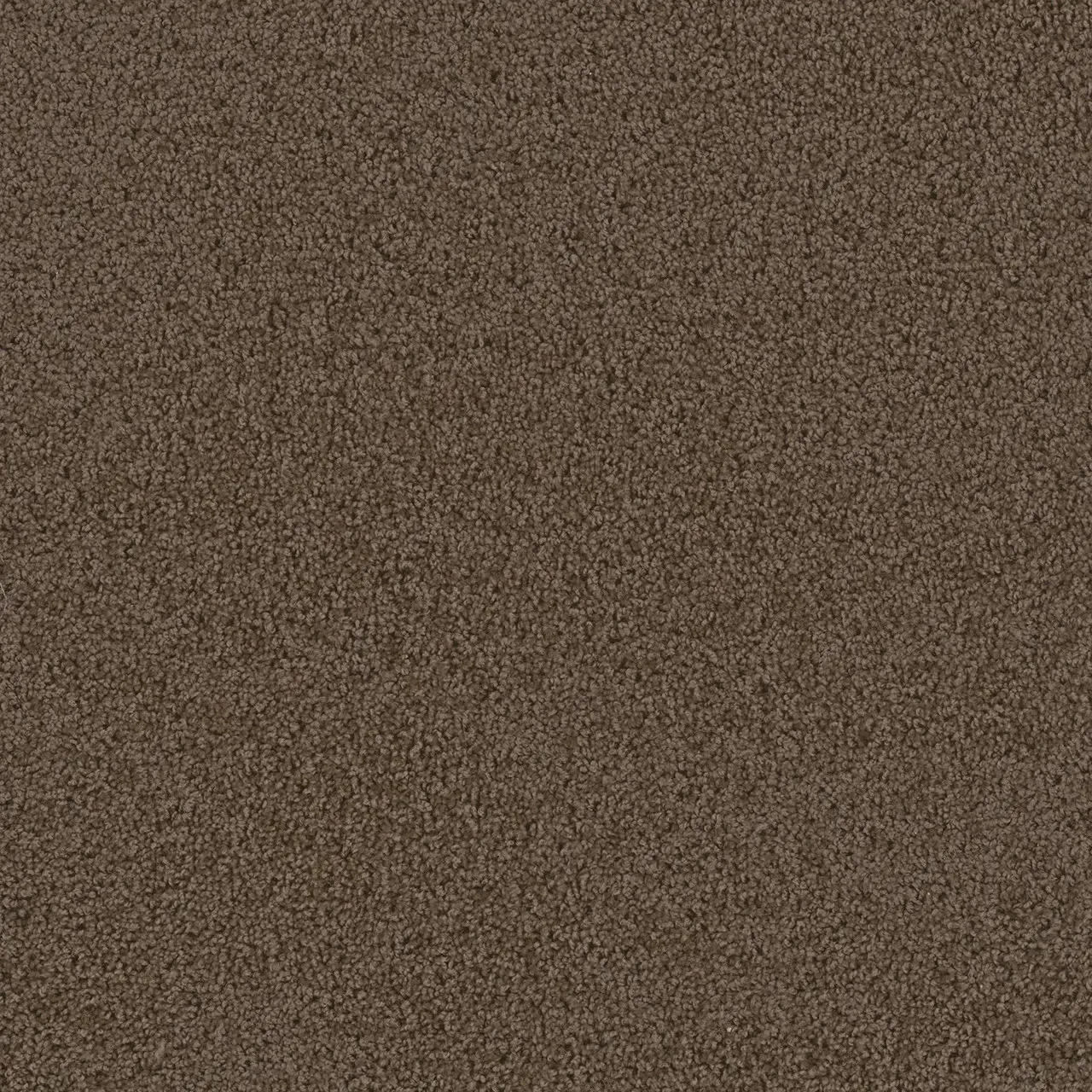 Brown carpet texture.