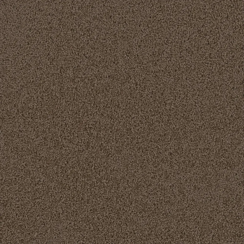 Brown carpet texture.