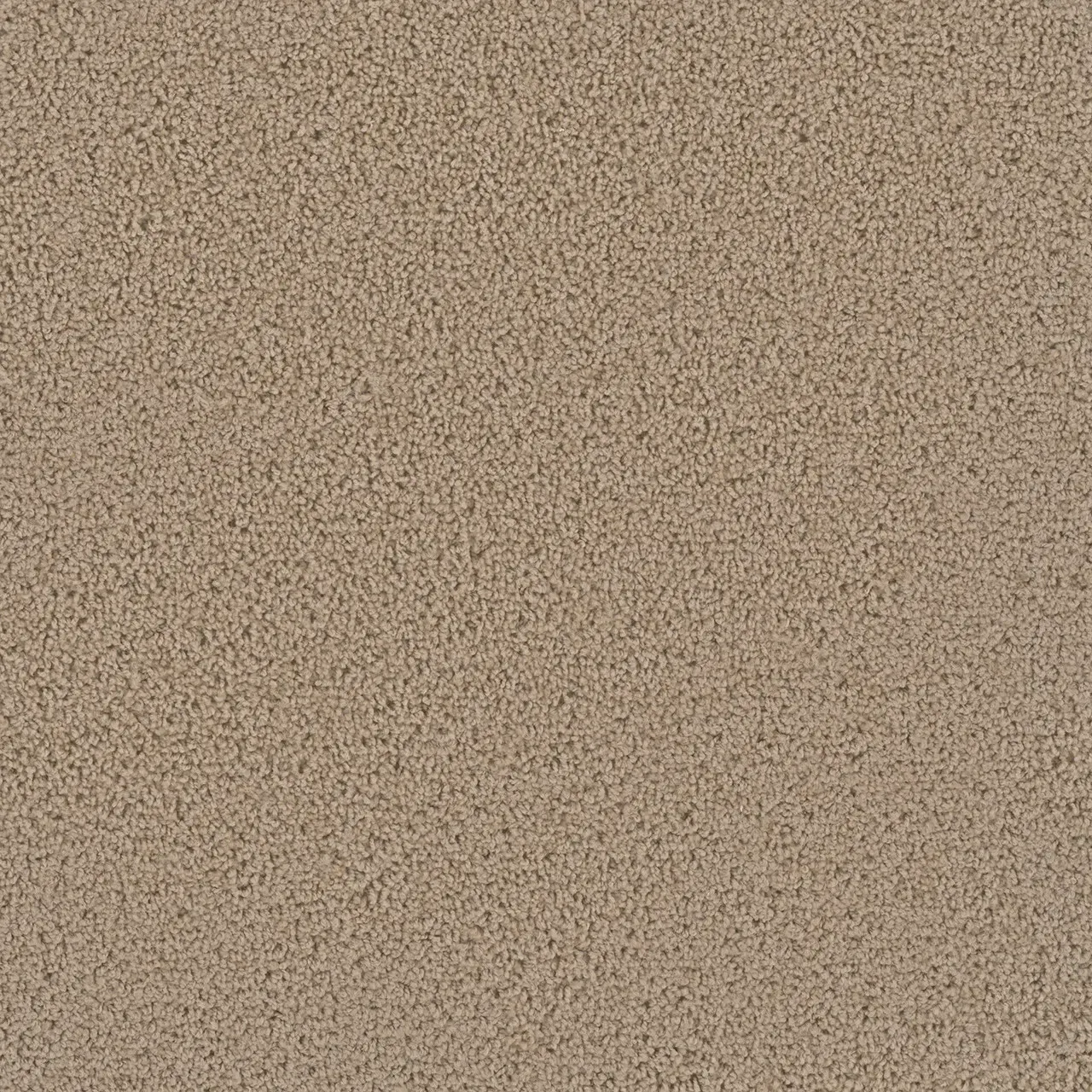Tan, textured surface, possibly a carpet or fabric.