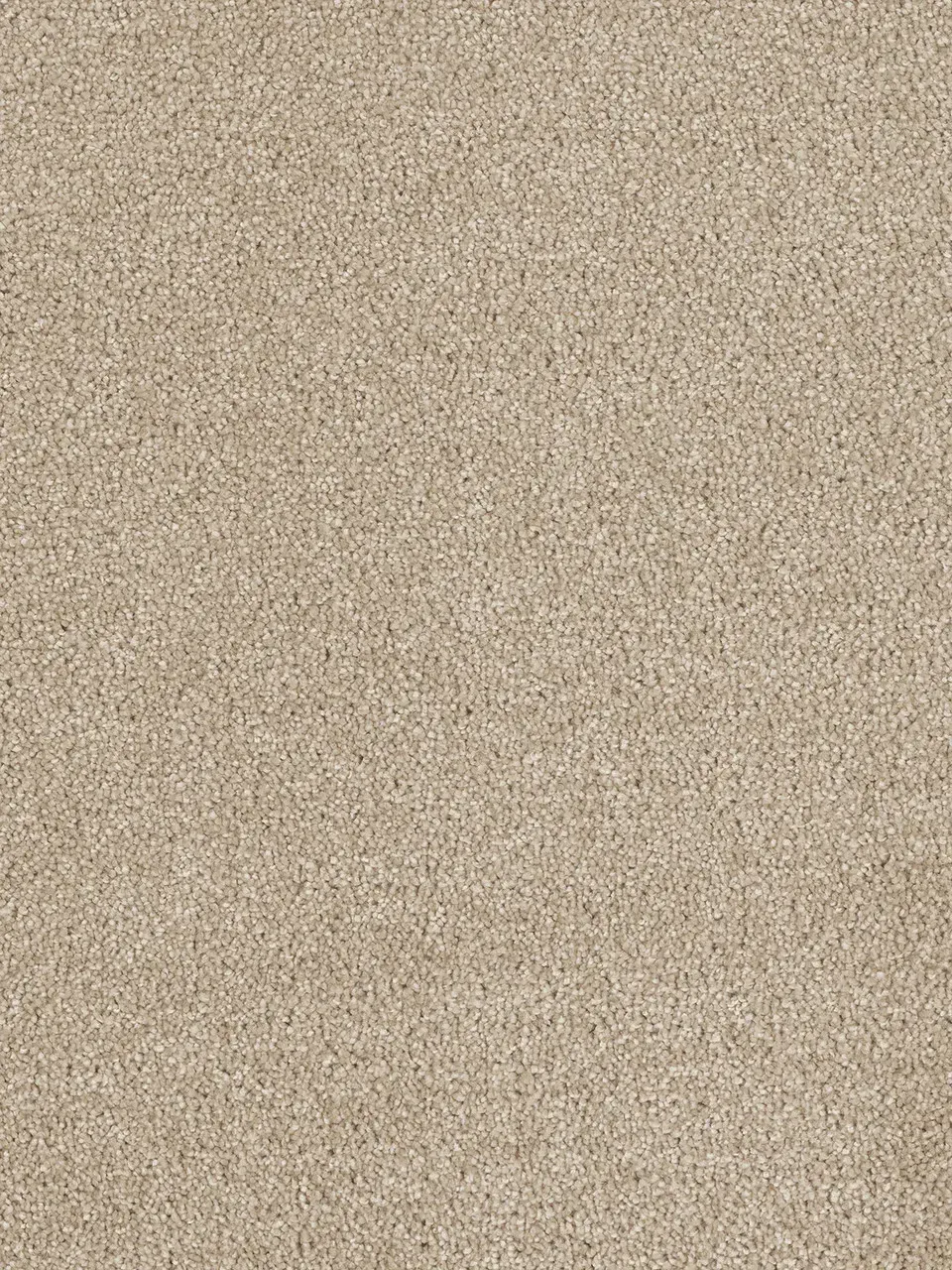 Beige carpet texture.