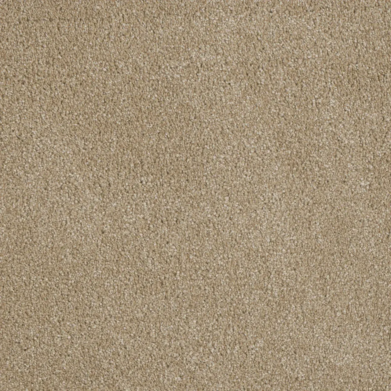 Beige carpet texture.