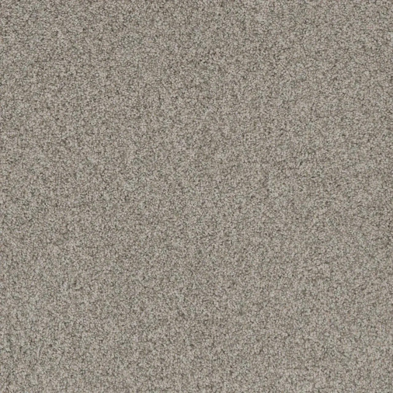 Gray flecked carpet texture.