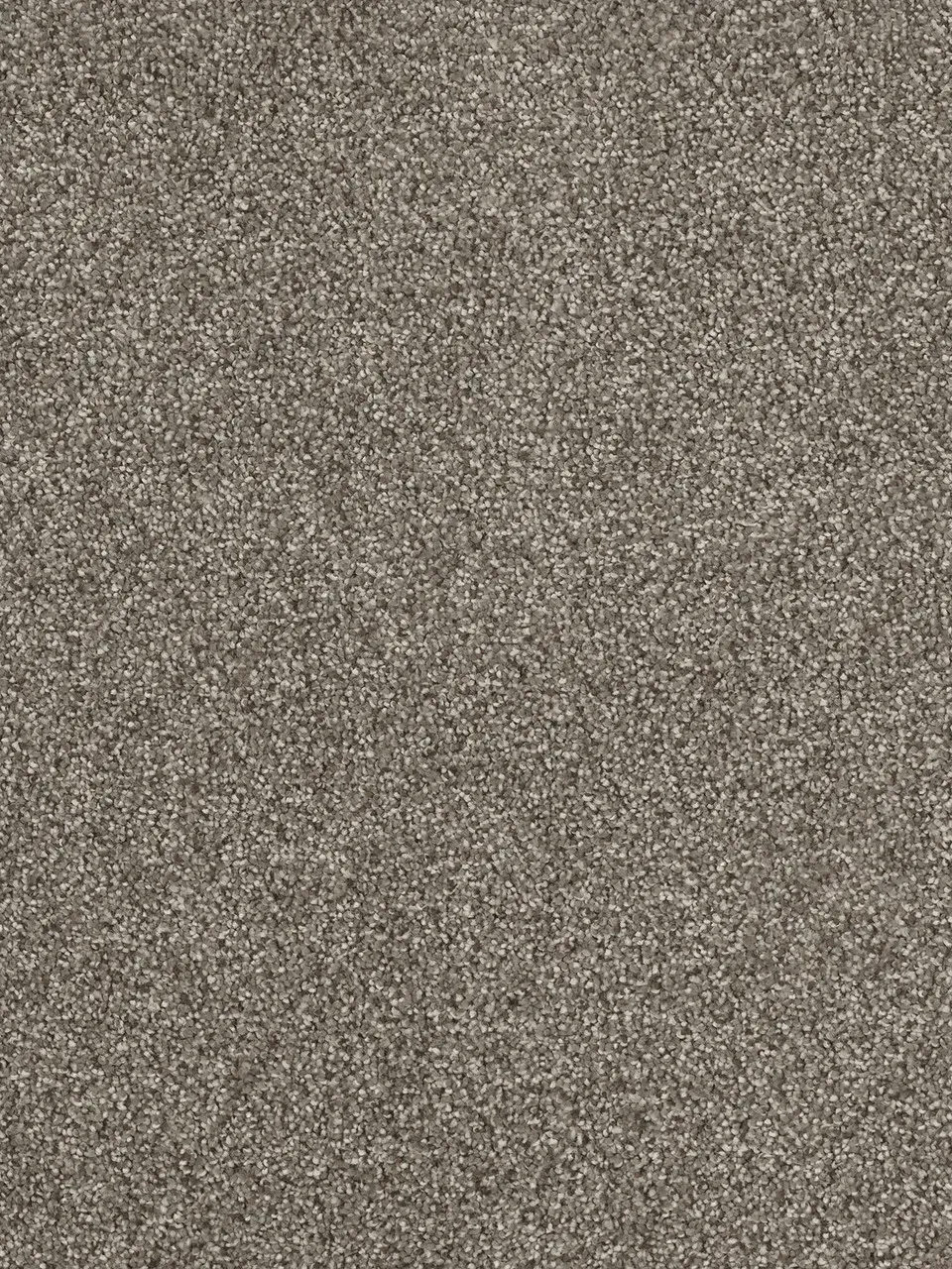 Beige-gray textured carpet.