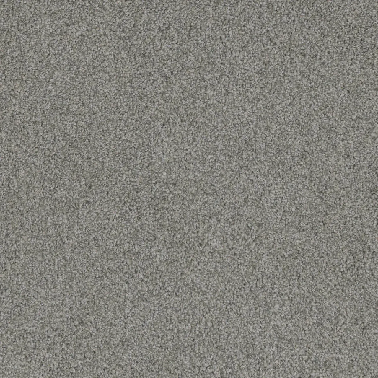 Gray carpet texture.