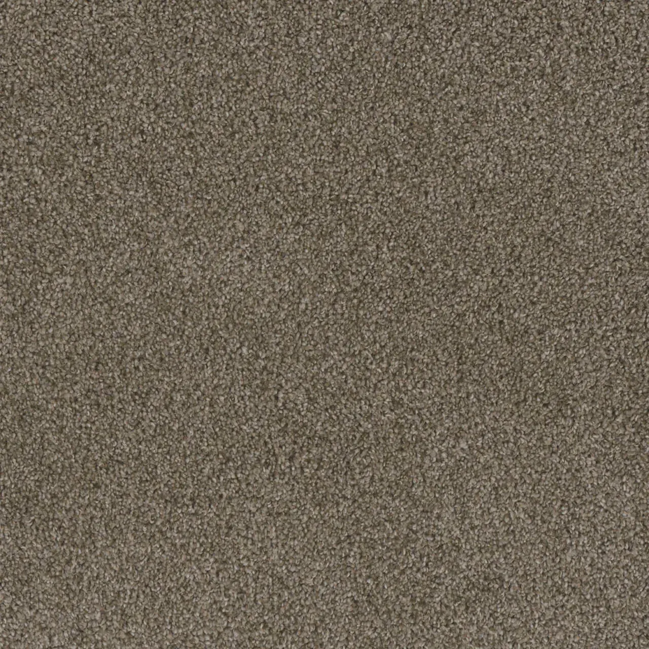 Close-up of brown carpet texture.