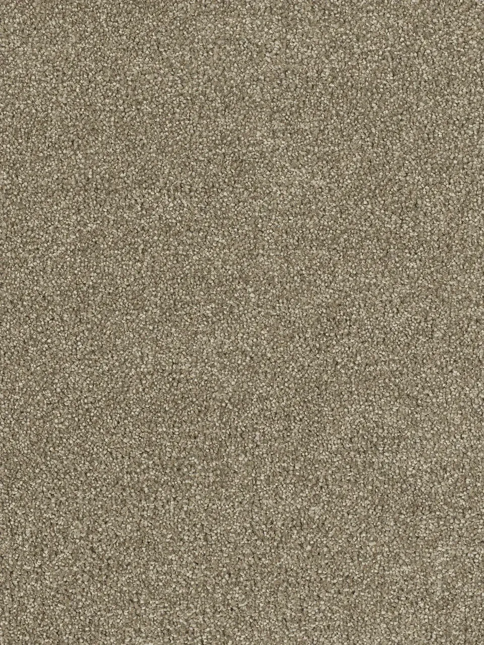 Beige carpet texture.