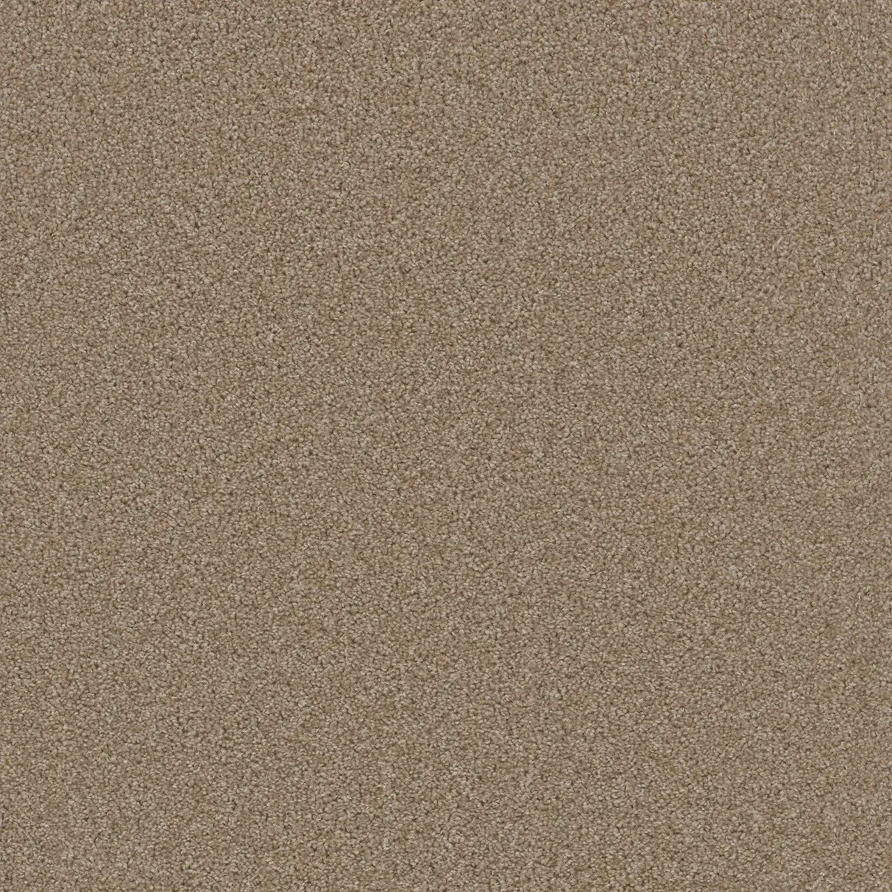 Tan carpet texture.
