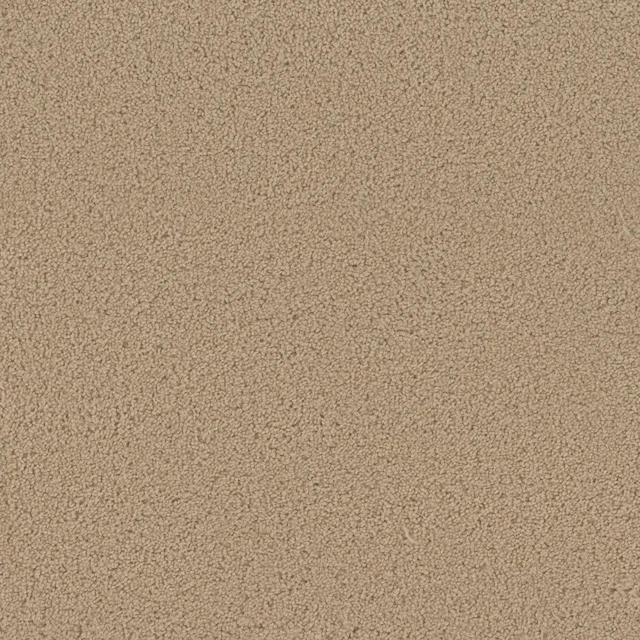 Beige carpet, tightly woven texture.