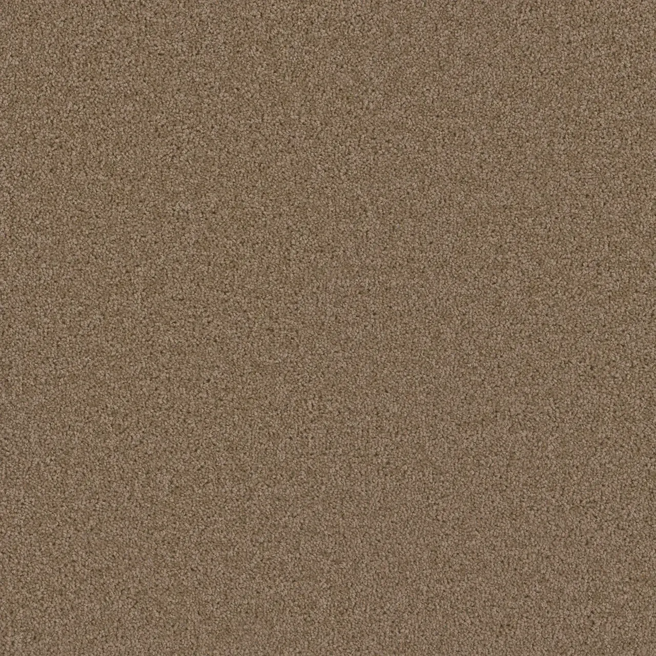 Brown carpet texture.