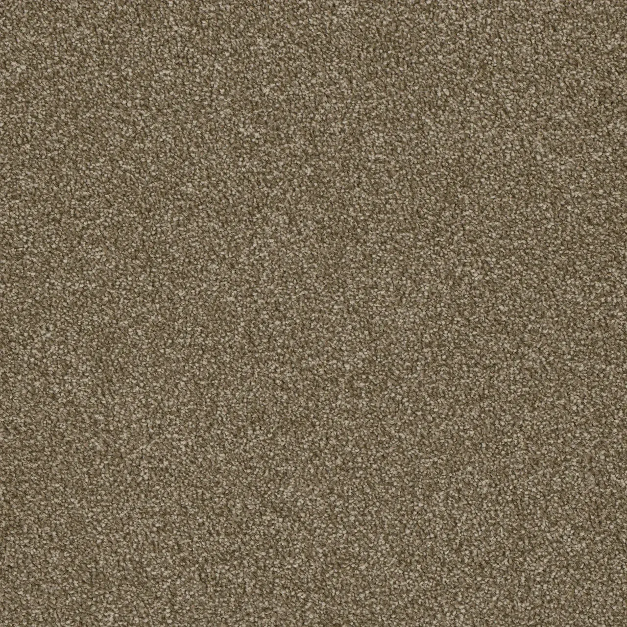 Tan, textured carpet.