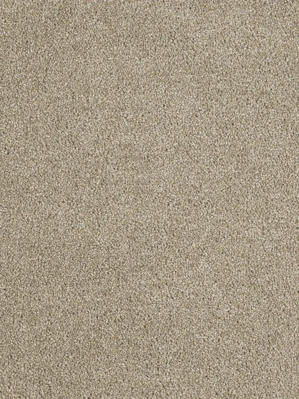 Beige, low-pile carpet texture, likely indoors.