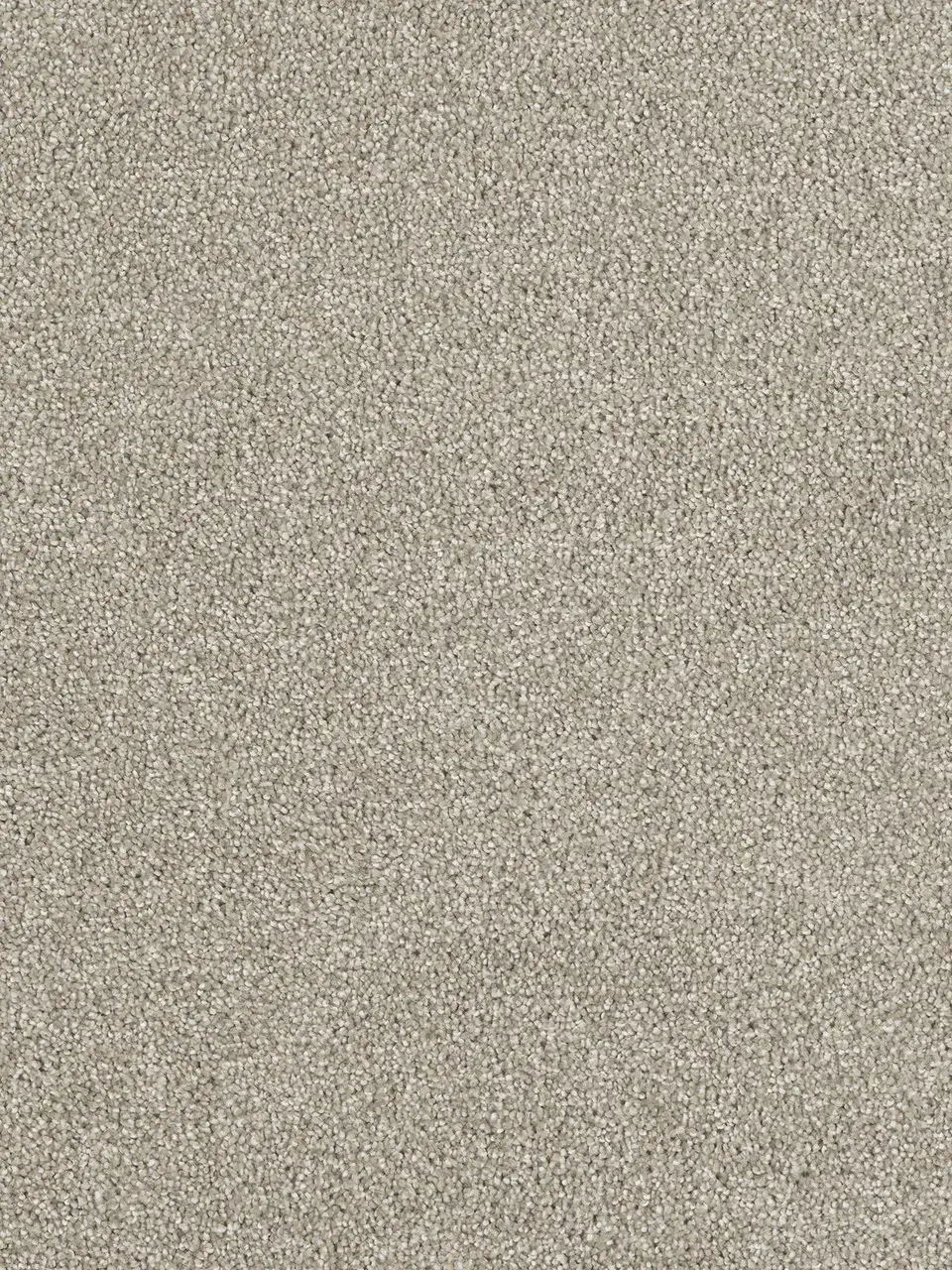 Light beige carpet texture.
