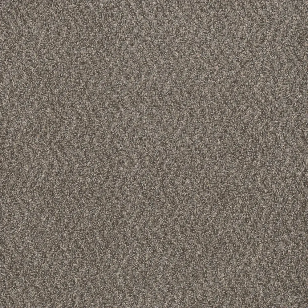Close-up of a textured, brown carpet surface.