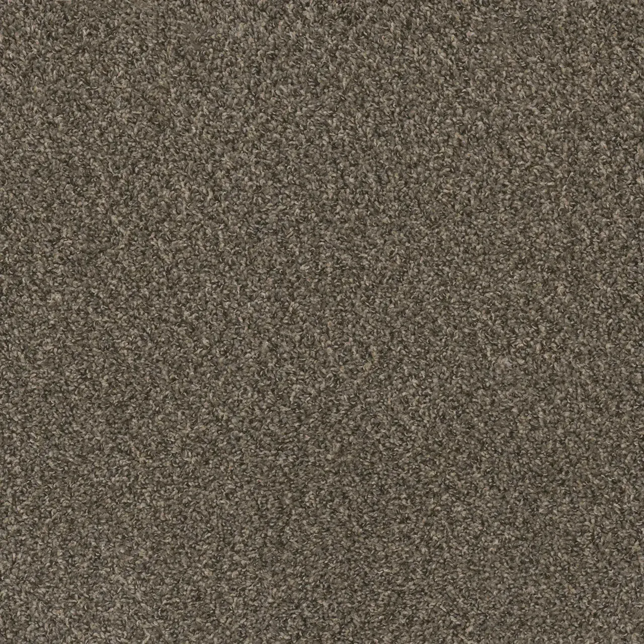 Brown, textured carpet.