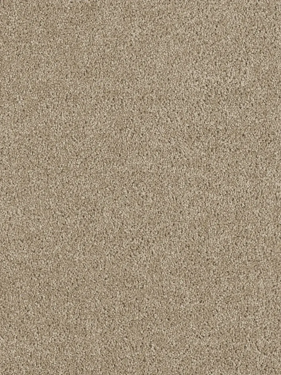 Close-up of beige carpet texture, evenly distributed and fine-grained.
