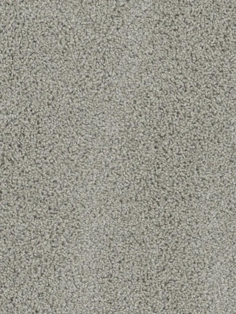 Close-up of light gray carpet with a textured, speckled appearance.