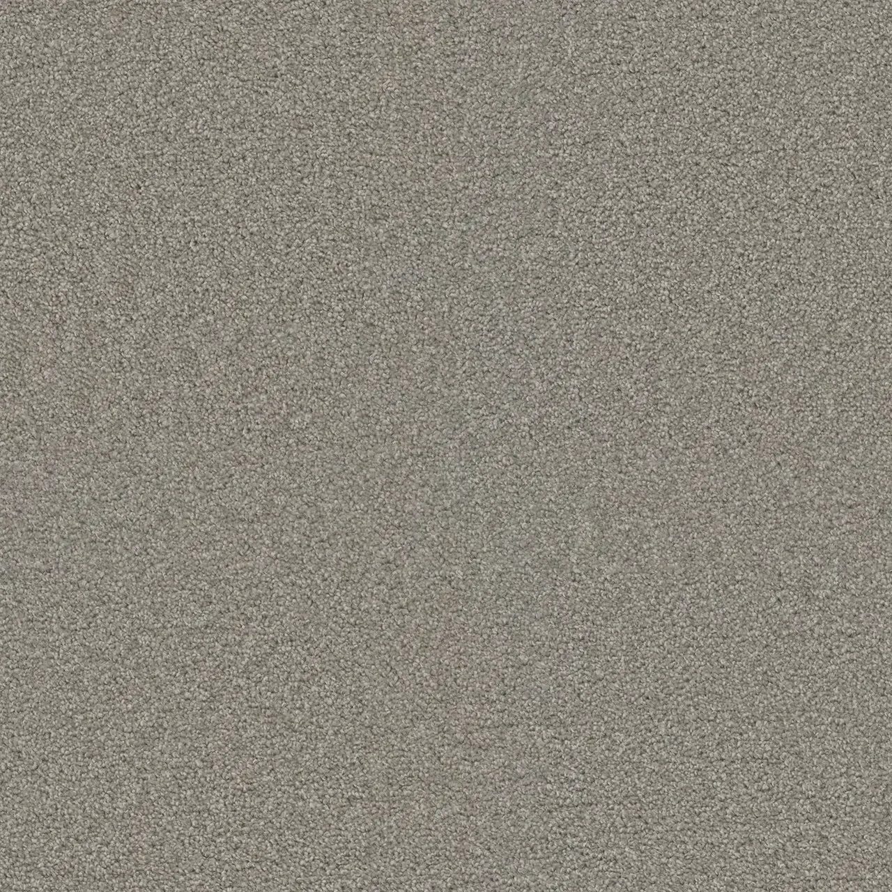 Gray speckled background texture.