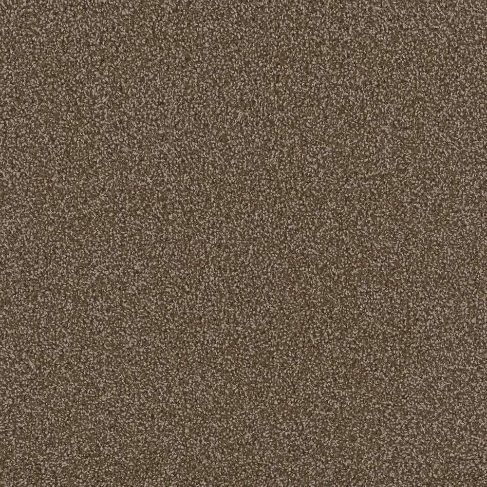 Brown speckled carpet.