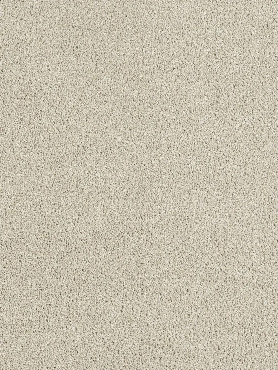 Beige speckled carpet texture.