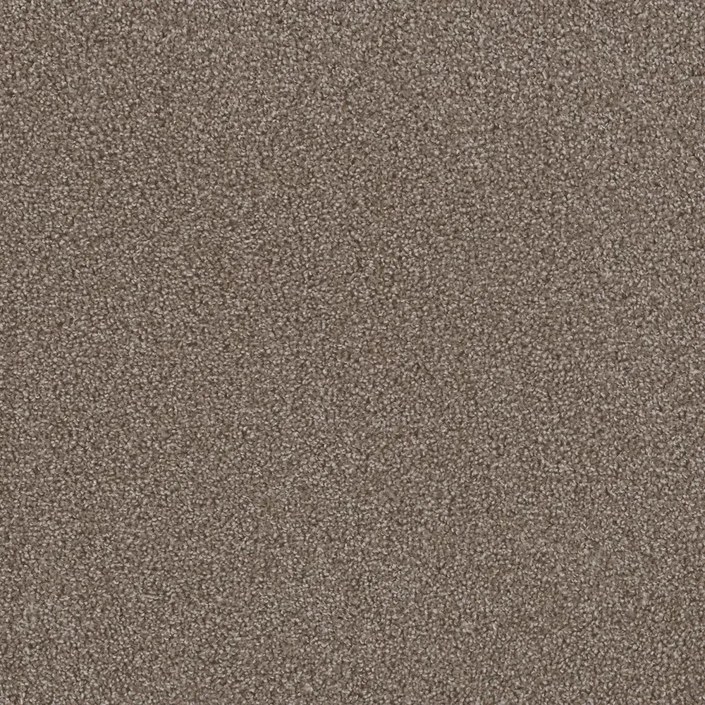 Close-up view of light brown carpet.