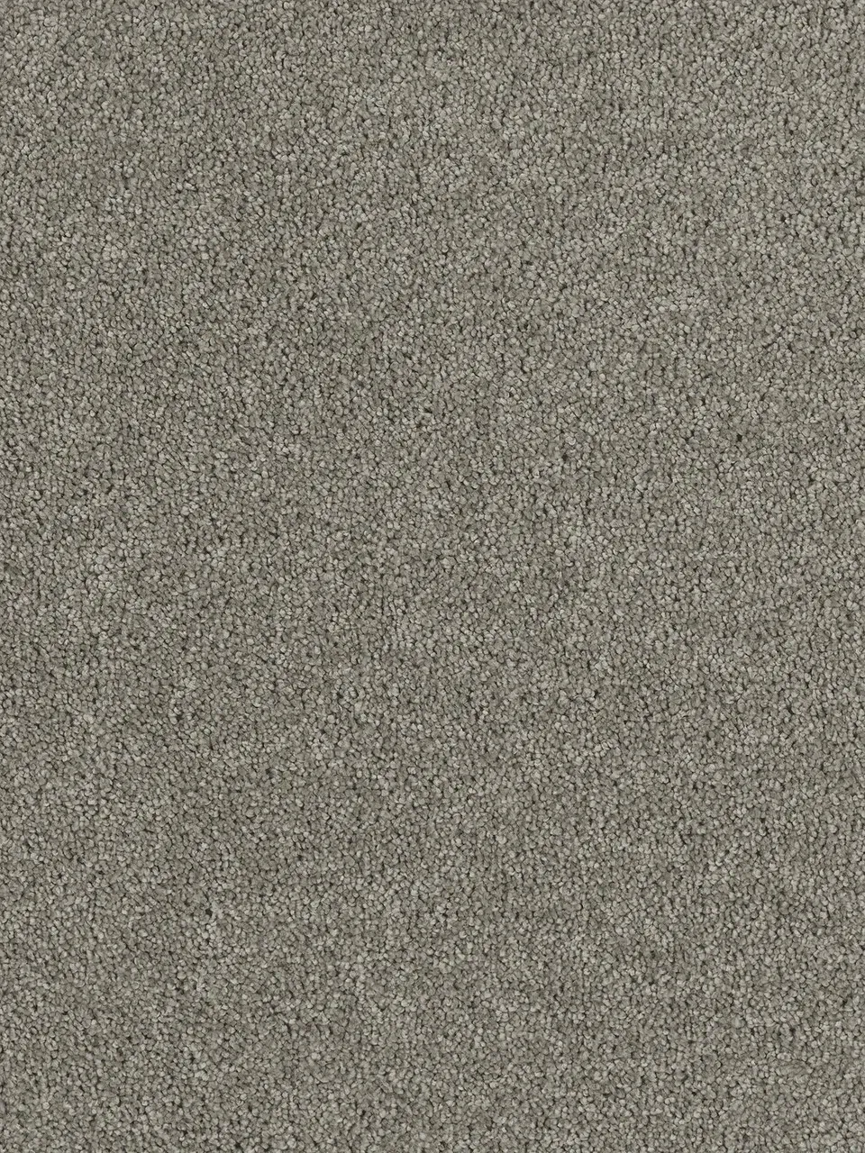 Gray carpet texture.