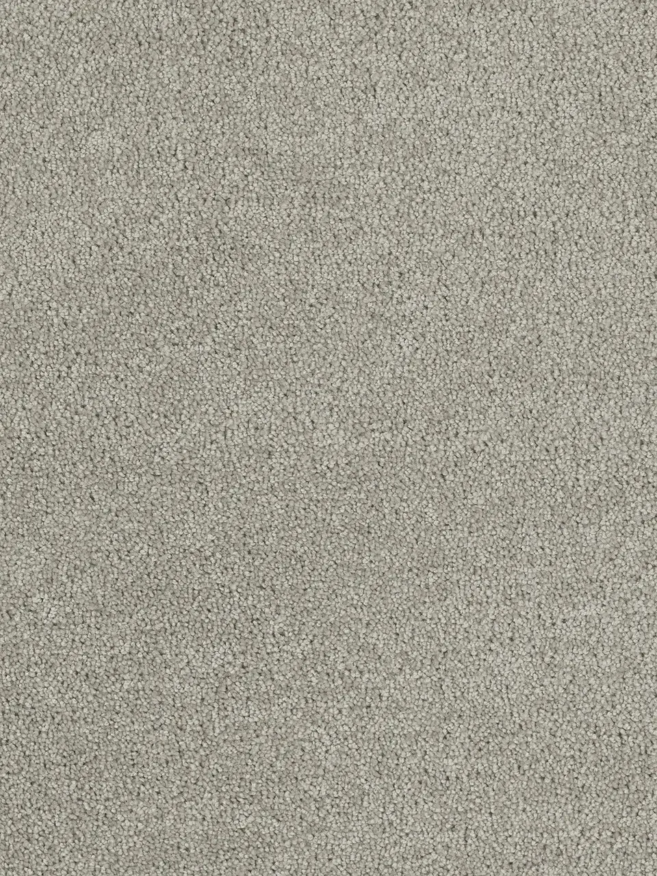 Gray speckled background.