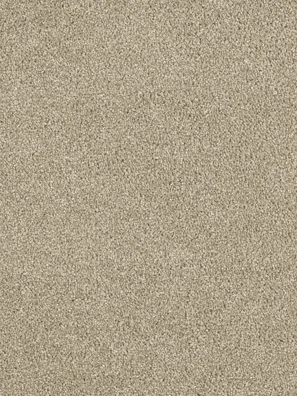 Beige carpet texture.