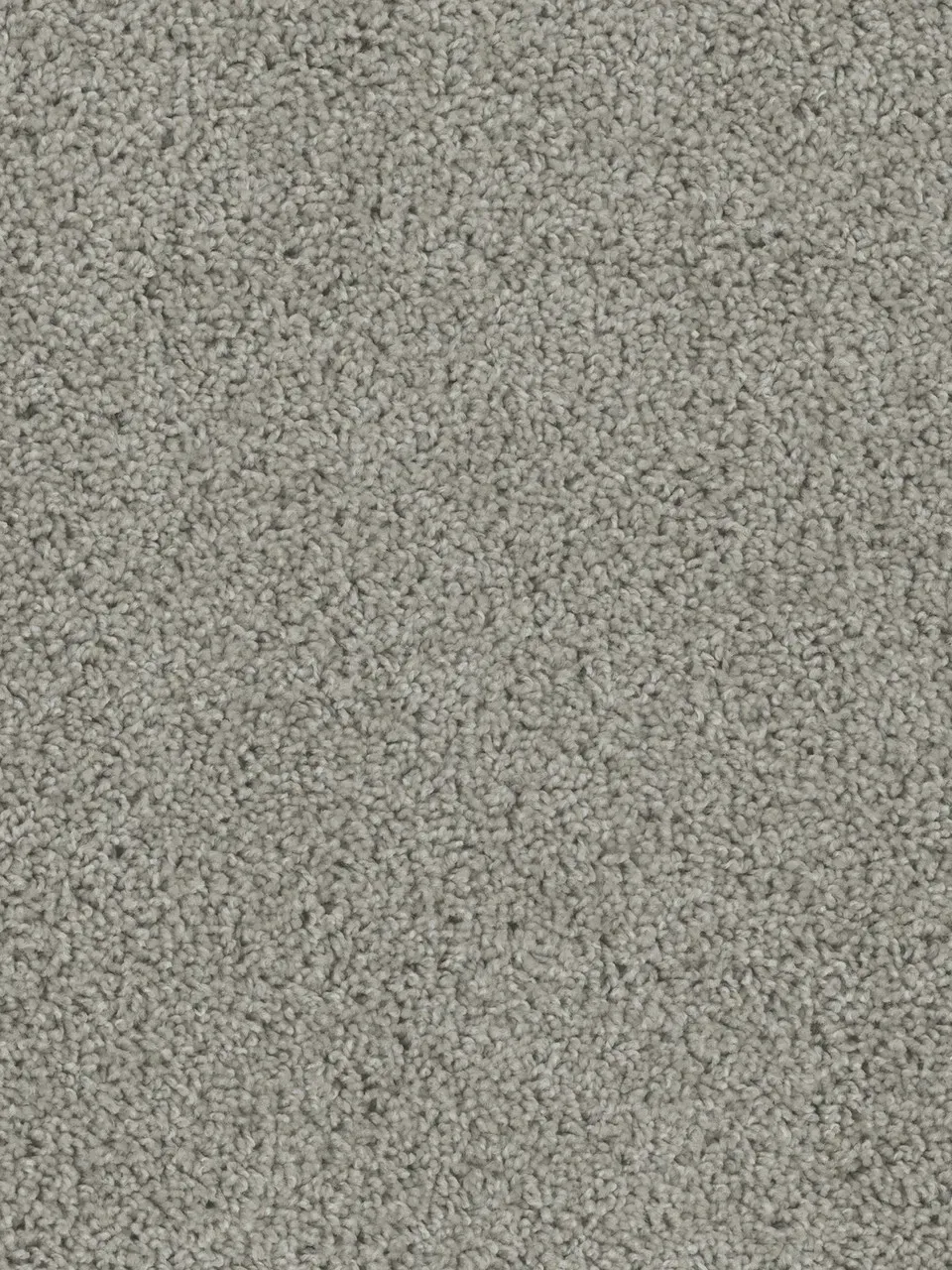 Gray, speckled carpet texture, suitable for flooring.