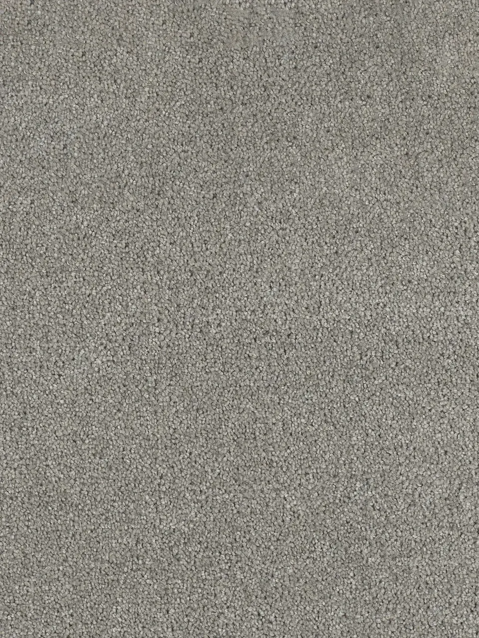 Gray textured carpet.