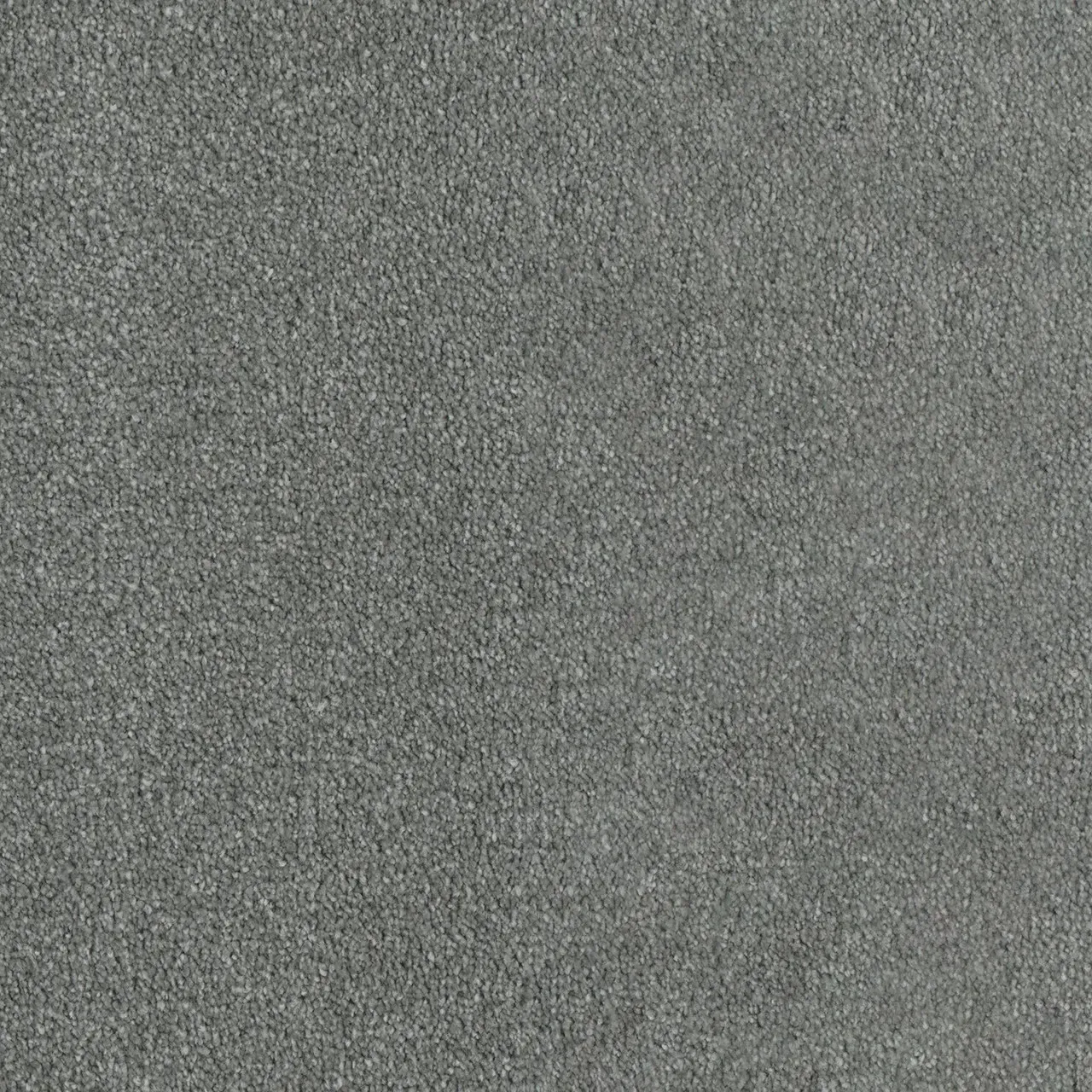 Gray carpet texture.