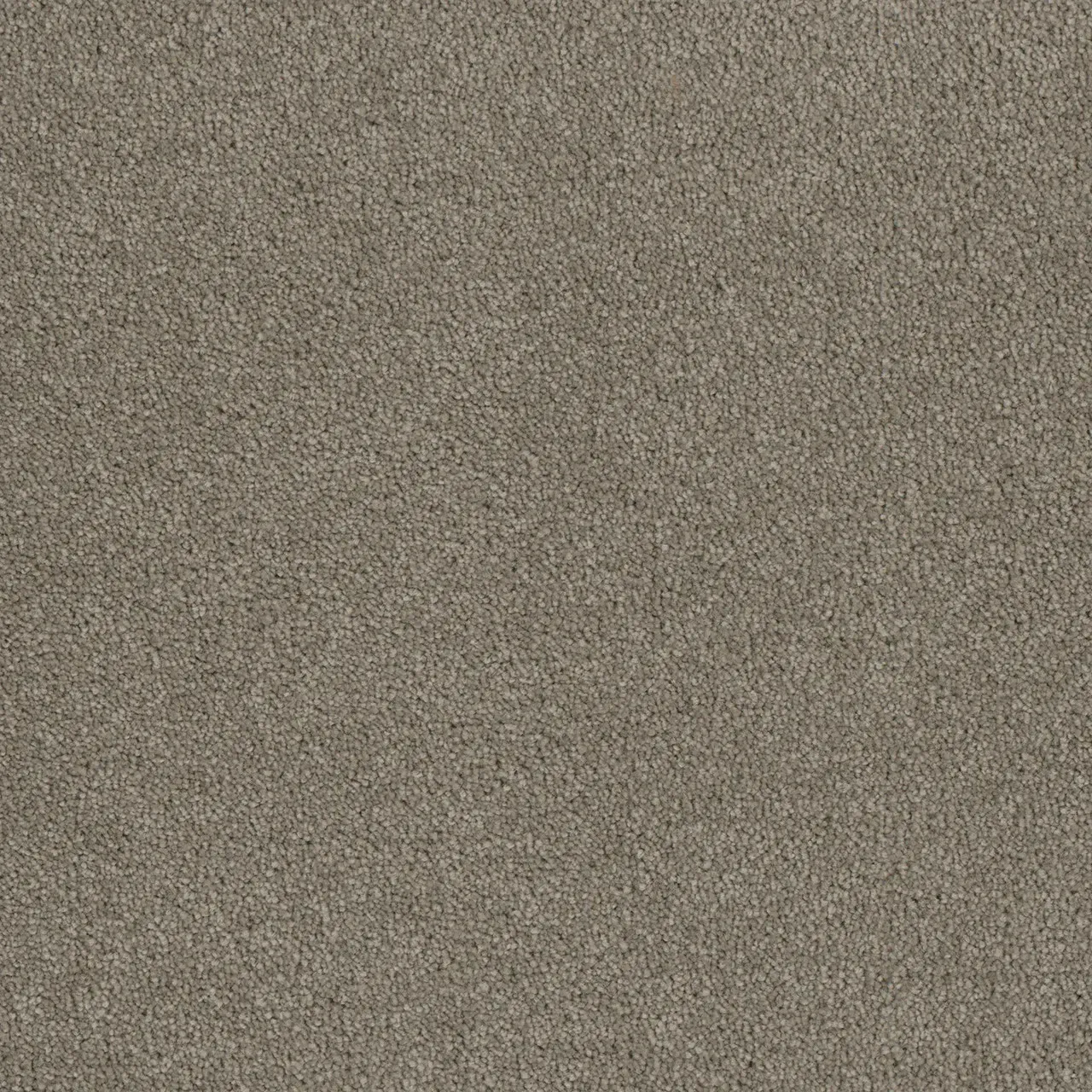 Close-up of a tan, textured carpet, showing a mottled surface and a neutral color palette.