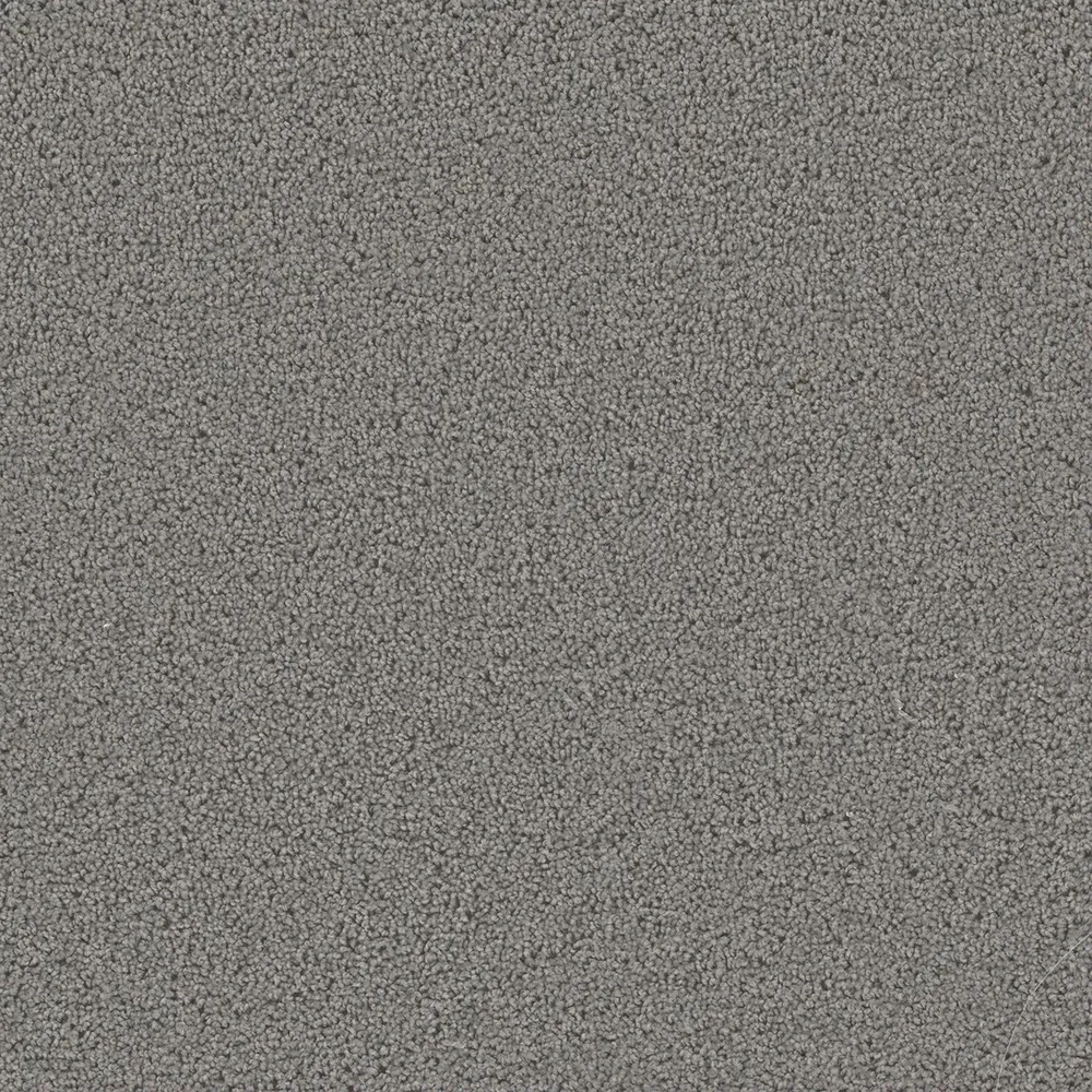 Gray carpet texture.