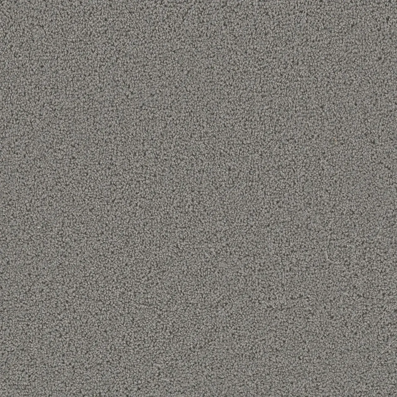 Gray textured carpet.