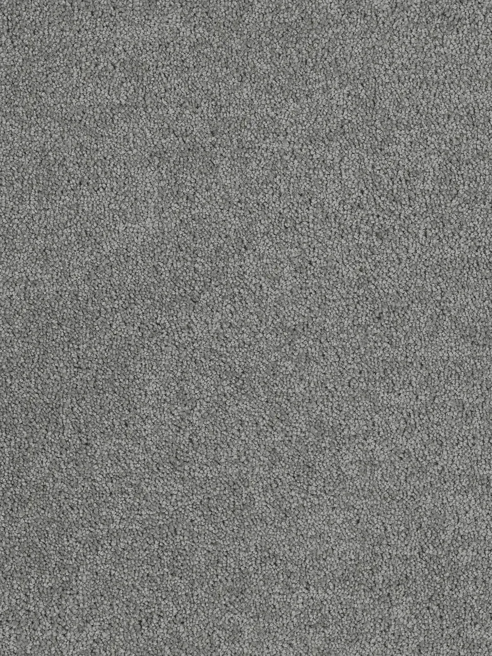 Gray textured carpet.