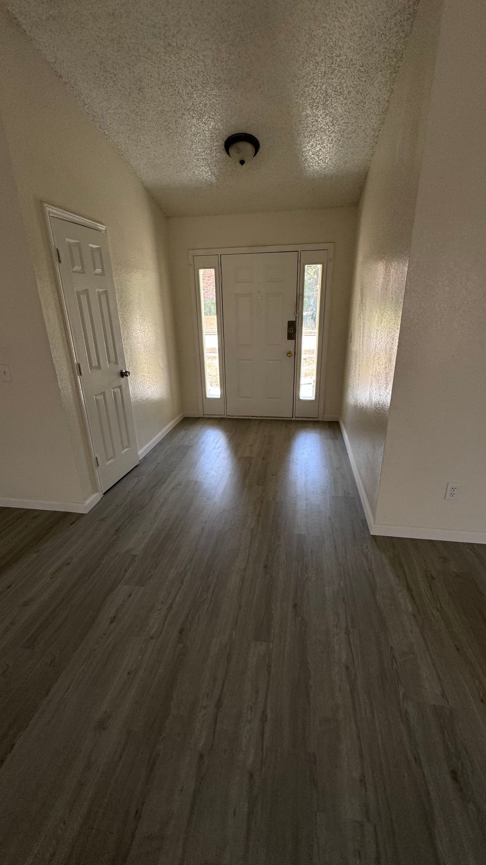 Hallway with wood-look floor, white walls, and front door. Light fixture on ceiling.