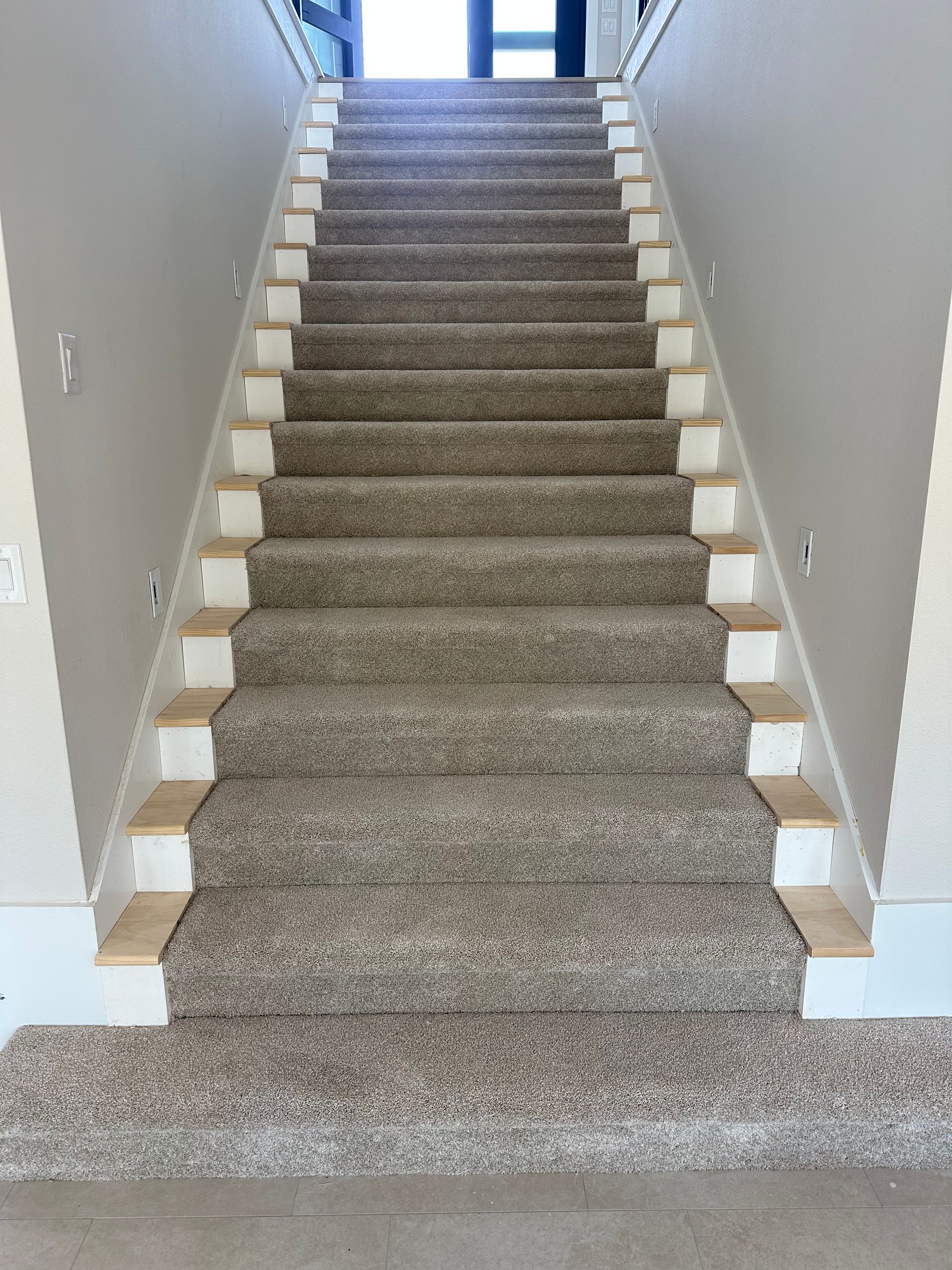 Carpeted staircase with white trim and beige walls.
