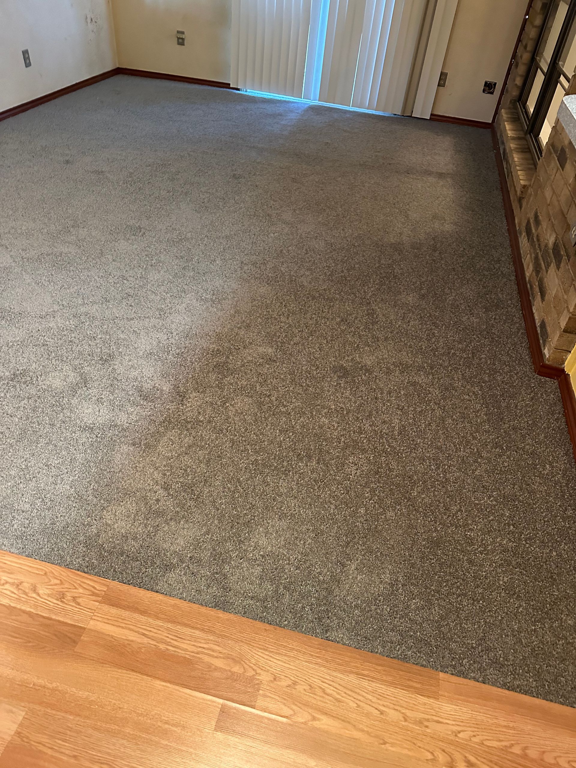 Carpeted room with a wooden floor border, and a sliding glass door.