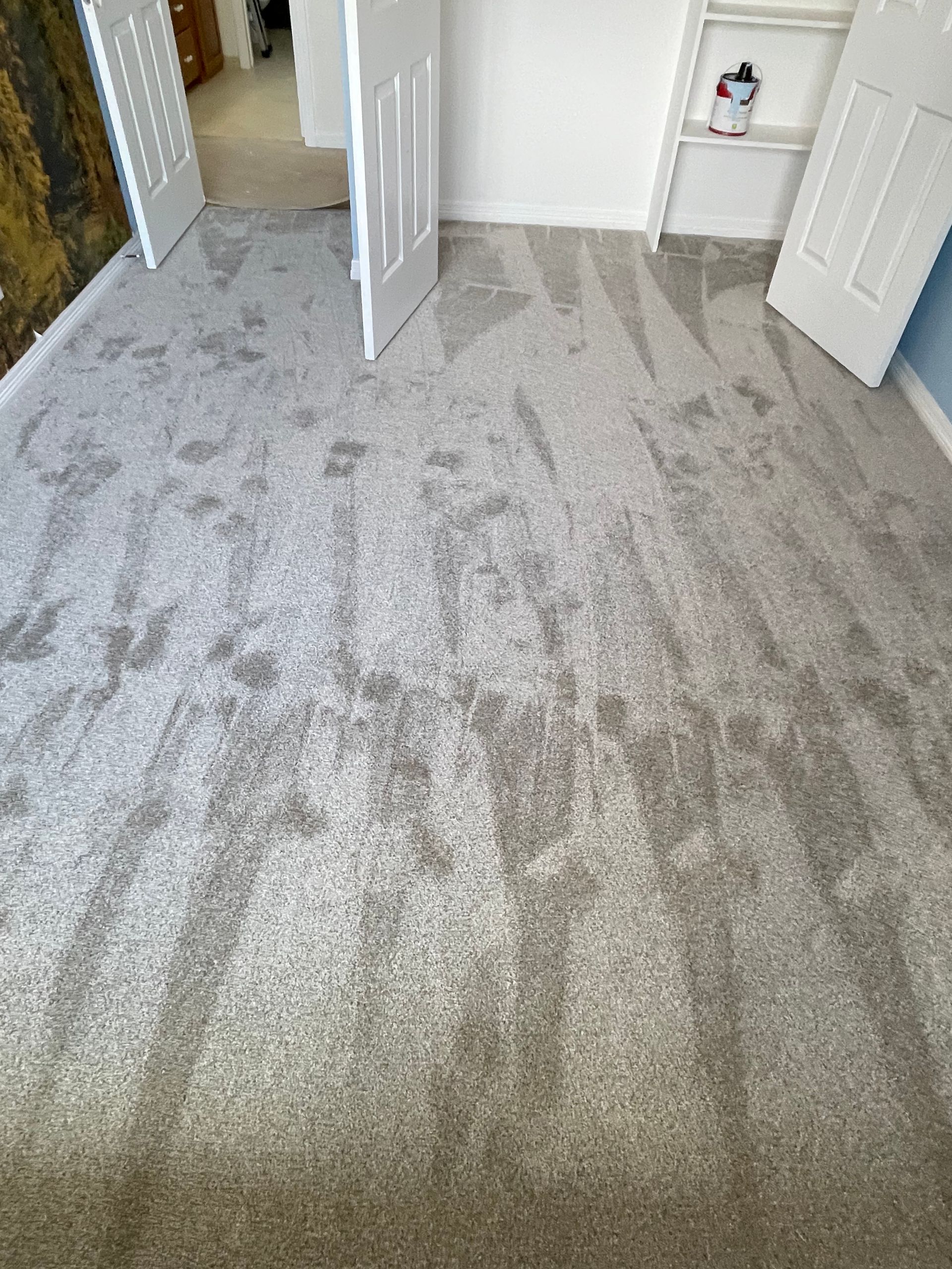 Gray carpeted room with open white doors and small shelving unit.