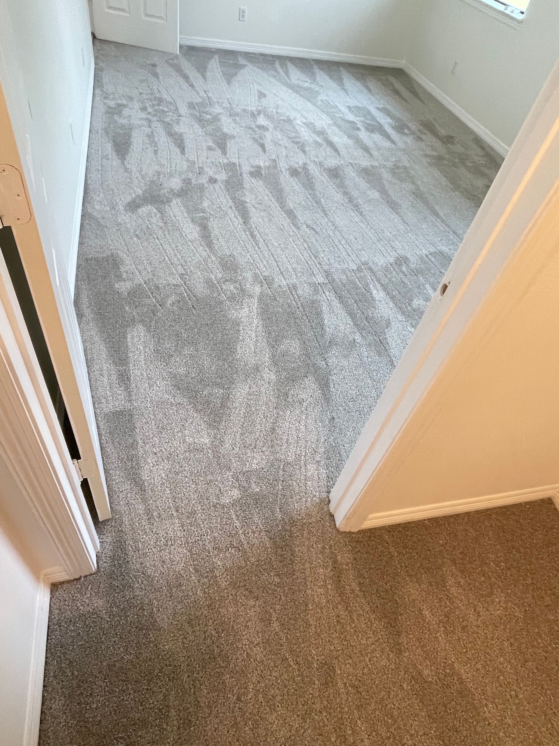 Light gray carpet in a room. A doorway is visible on the right. Another doorway on the left.