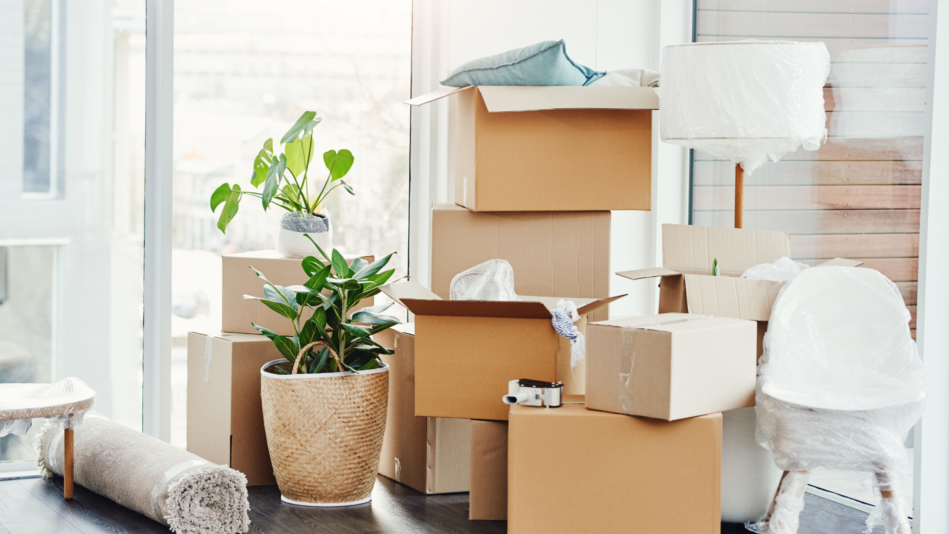 Boxes stacked near a window, with a potted plant, rug, and lamp, suggesting moving.