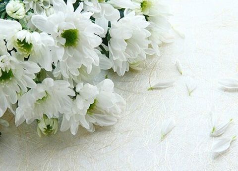 White Flower — Funeral Home in Rialto, Hesperia, and San Bernadino, CA