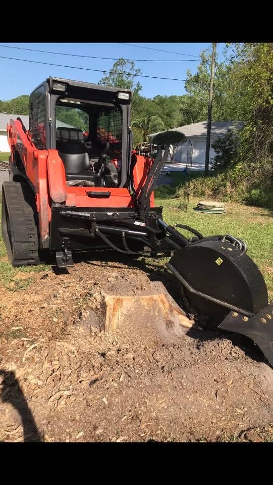 CLick to see our Stump Removal videos