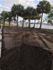 A pile of dirt is sitting in the middle of a dirt road next to palm trees.