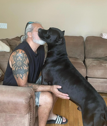 A man is sitting on a couch kissing a black dog