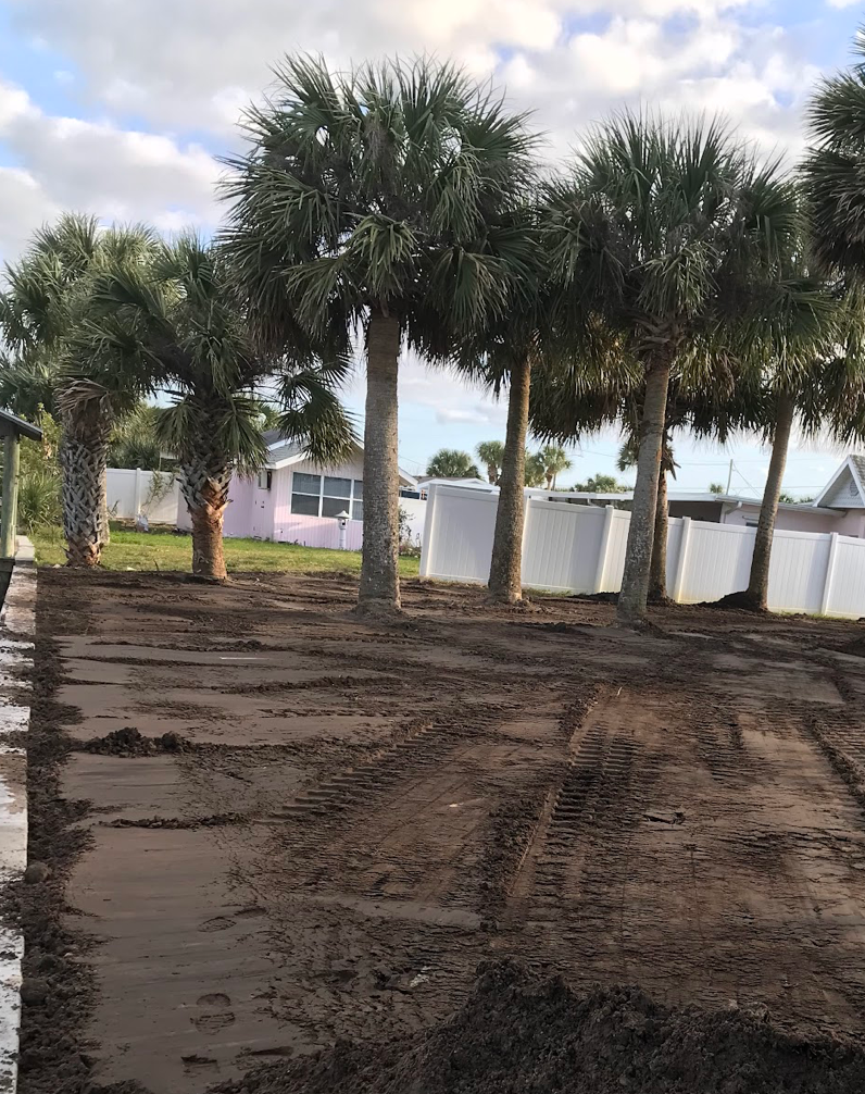 A dirt road with palm trees in the background