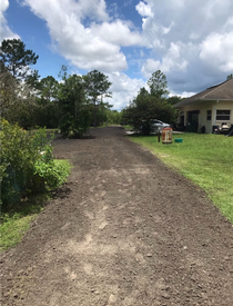 A dirt road leading to a house with trees on both sides